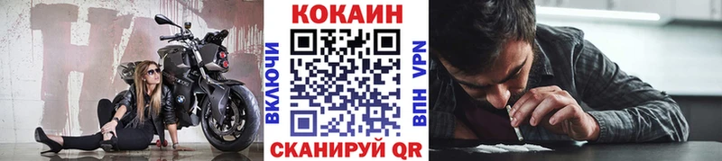 COCAIN FishScale где купить наркоту Сланцы