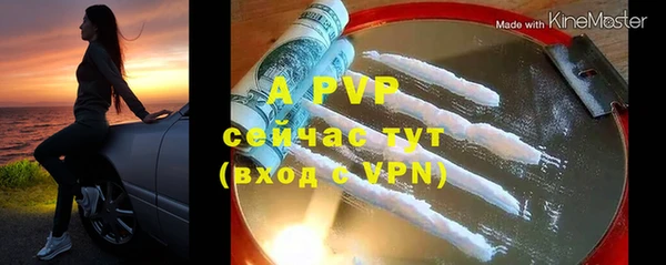 apvp Гусиноозёрск