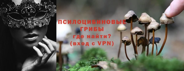 скорость Гусев