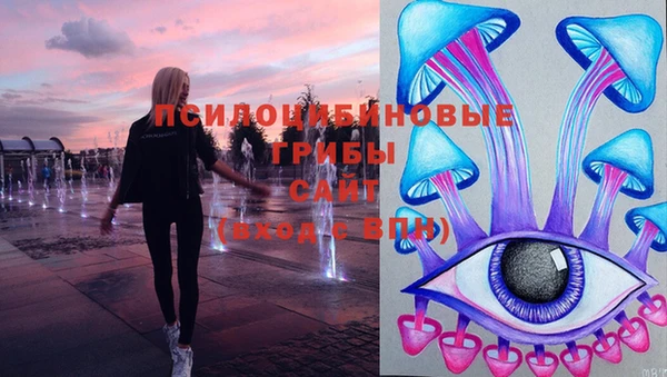 скорость Гусев