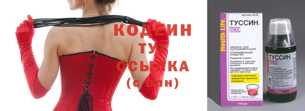 ешки Гусь-Хрустальный