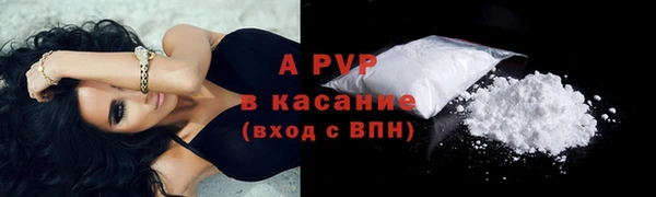 apvp Гусиноозёрск
