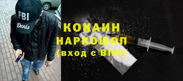 mix Инта