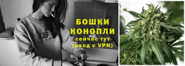 ешки Гусь-Хрустальный