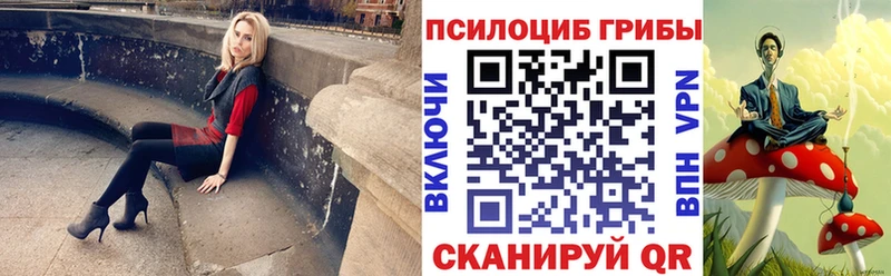 наркошоп Сланцы Псилоцибиновые грибы Psilocybine cubensis